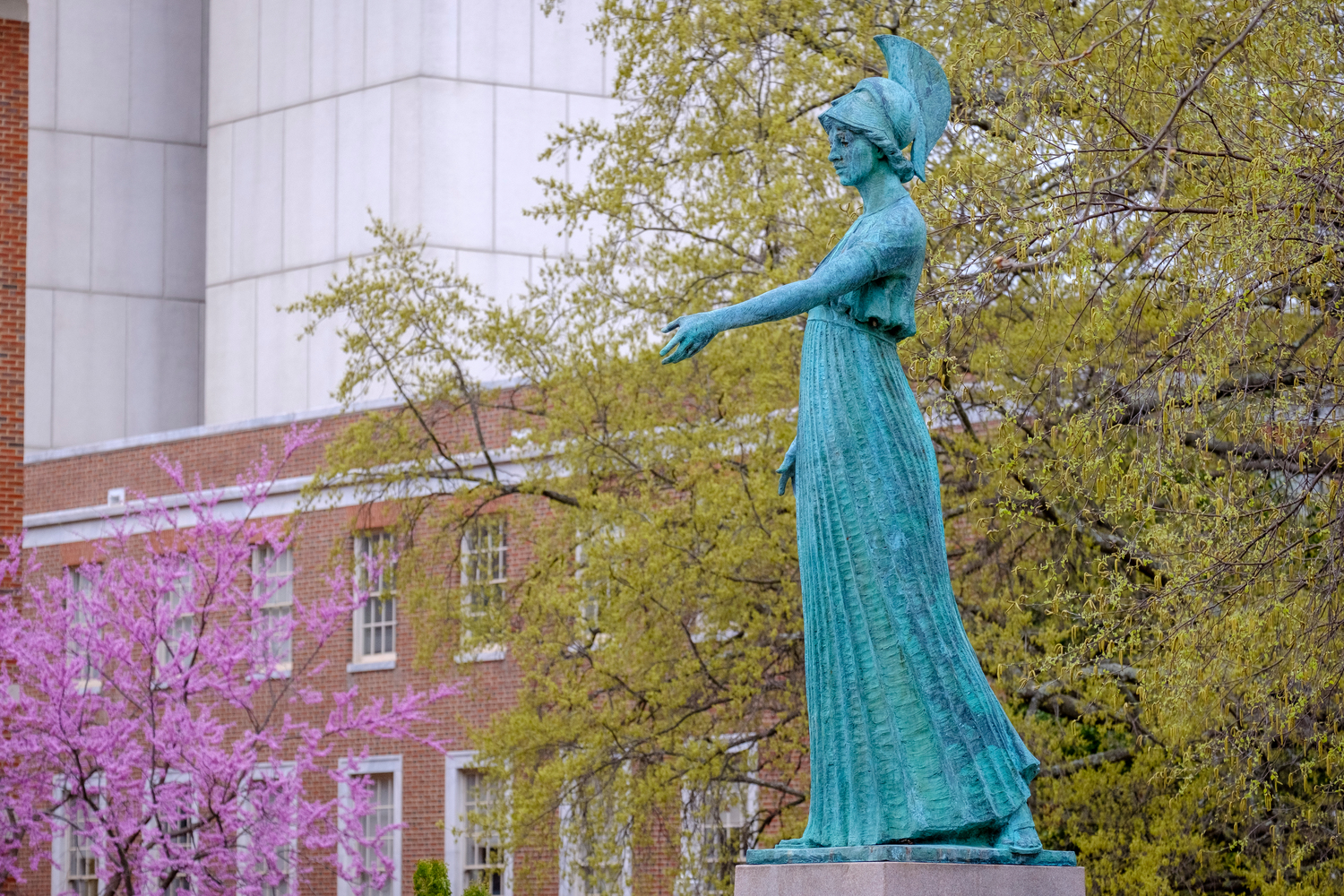 The Minerva statue with blossoming redbud trees in the background